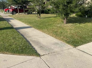 Greg P.'s turf maintenance service result