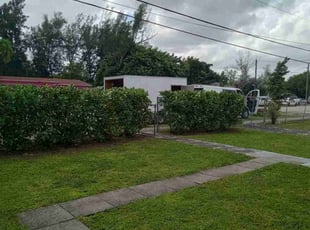 Kathy B.'s Bush Trimming service result