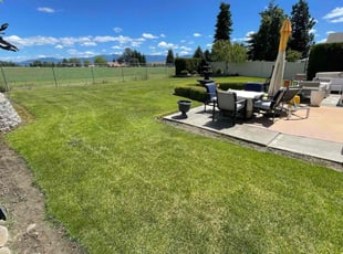 Kelli D.'s turf care service result