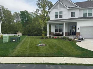 Diane W.'s lawn care services service result