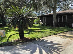 Kassandra V.'s turf care service result