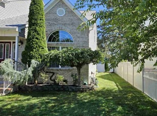 Chris C.'s turf maintenance service result