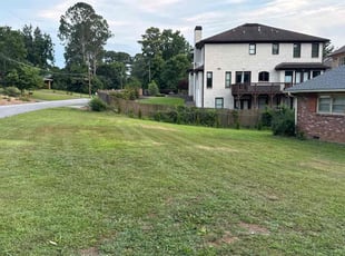 Irene A.'s turf maintenance service result