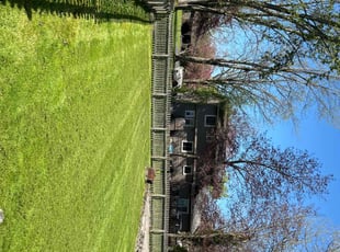 Oandhi B.'s grass cutting service result