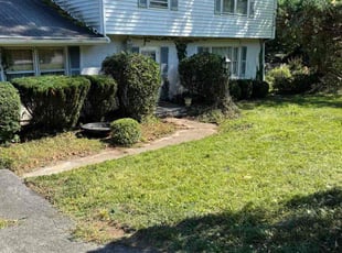 Jaime D.'s Other service result