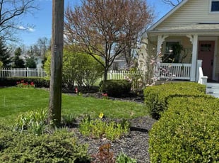 Nancy E.'s turf care service result