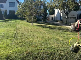 Kaushik D.'s turf care service result