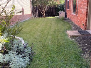 Kenneth J.'s turf maintenance service result