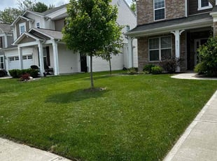 Betty Jo P.'s grass maintenance service result