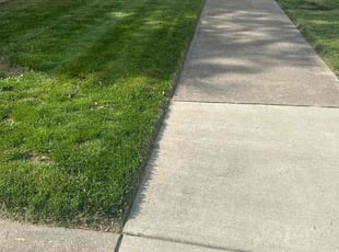 Todd D.'s lawn maintenance service result