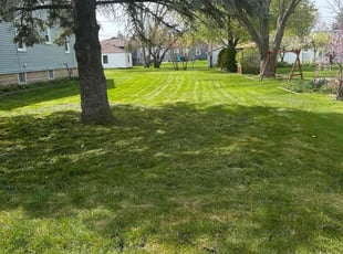 Pilar S.'s grass maintenance service result