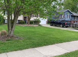 Matthew L.'s turf maintenance service result