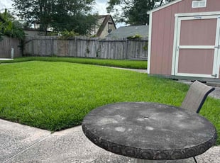 Khalil N.'s turf maintenance service result