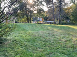 Shella F.'s grass cutting service result