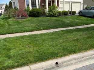 Debra O.'s turf maintenance service result