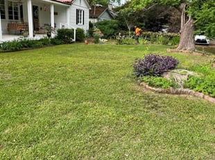 Jenny P.'s turf maintenance service result