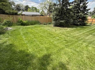 Daniel L.'s lawn care services service result