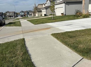 Michael B.'s grass maintenance service result