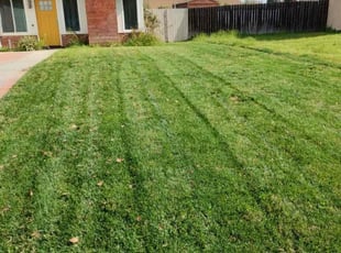 Isabel B.'s grass maintenance service result