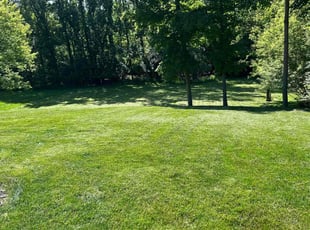 Kasey L.'s lawn service service result