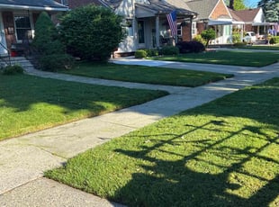 Pamela H.'s lawn care services service result