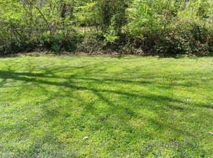 Bobbi S.'s lawn service service result