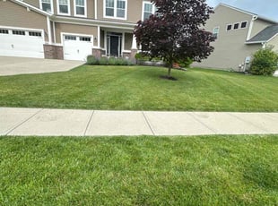 Anna C.'s grass maintenance service result