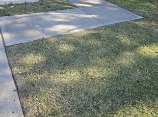Steve E.'s turf maintenance service result