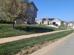 Joshua D.'s turf care service result