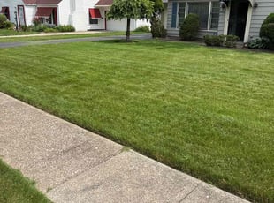 Jennifer W.'s lawn care services service result
