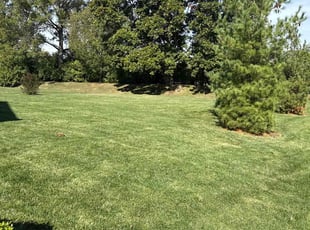 Dl M.'s grass cutting service result