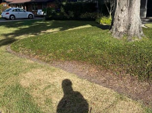 Kris S.'s lawn service service result