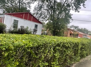 Carlos T.'s Bush Trimming service result