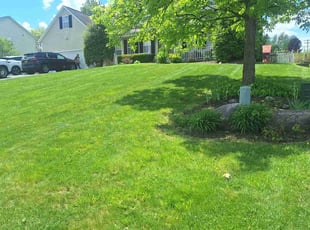 Sandy W.'s lawn care service result