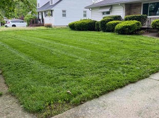 James L.'s lawn maintenance service result