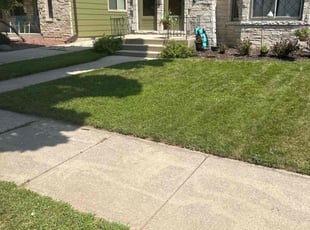 Stuart S.'s turf care service result