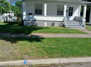 Patricia B.'s turf care service result
