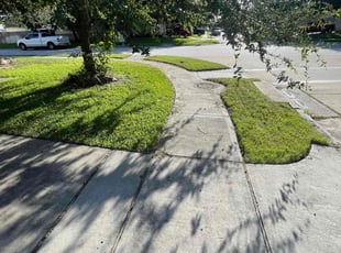 Gregory G.'s lawn care service result