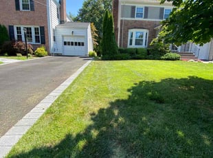 Micah J.'s yard work service result