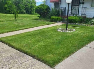 Austin G.'s lawn care service result