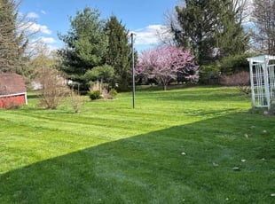 David B.'s grass maintenance service result
