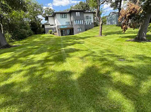 Angela S.'s lawn care services service result