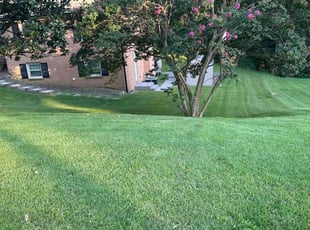 Ben R.'s yard service service result