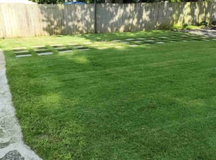 Angela W.'s turf care service result