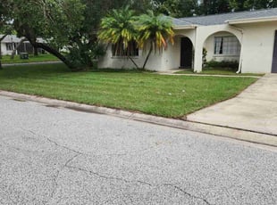 Michele B.'s lawn care service result