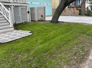 Mark M.'s grass cutting service result