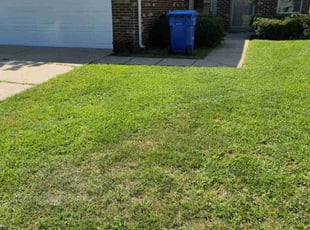 Melinda C.'s turf care service result