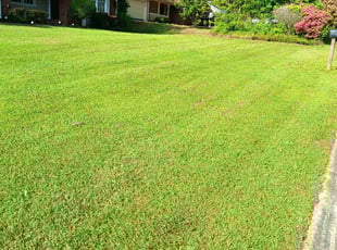 Lori S.'s lawn care service result
