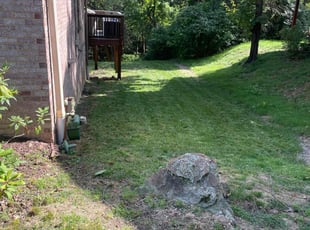 James T.'s Cleanups service result