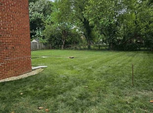 Linda H.'s lawn care service result